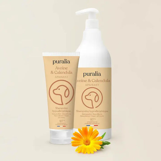 Shampoing hypoallergénique