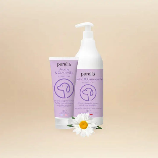 Shampoing poils blancs