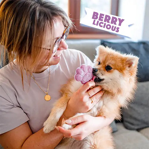 Glace pour chien MYRTILLE