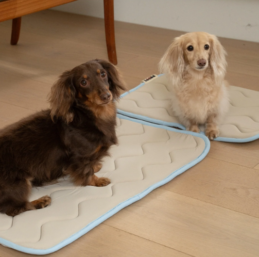 Tapis rafraîchissant BEIGE