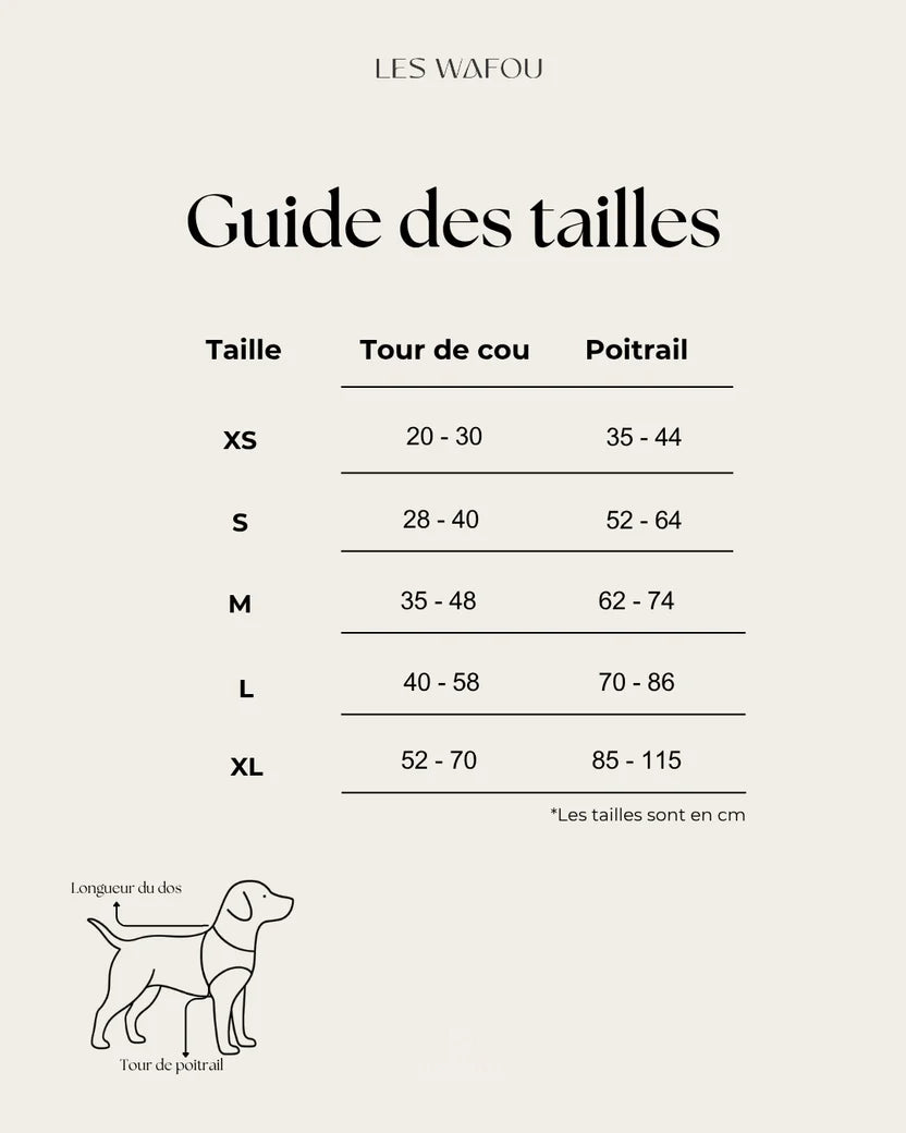 Harnais tweed BLEU CIEL