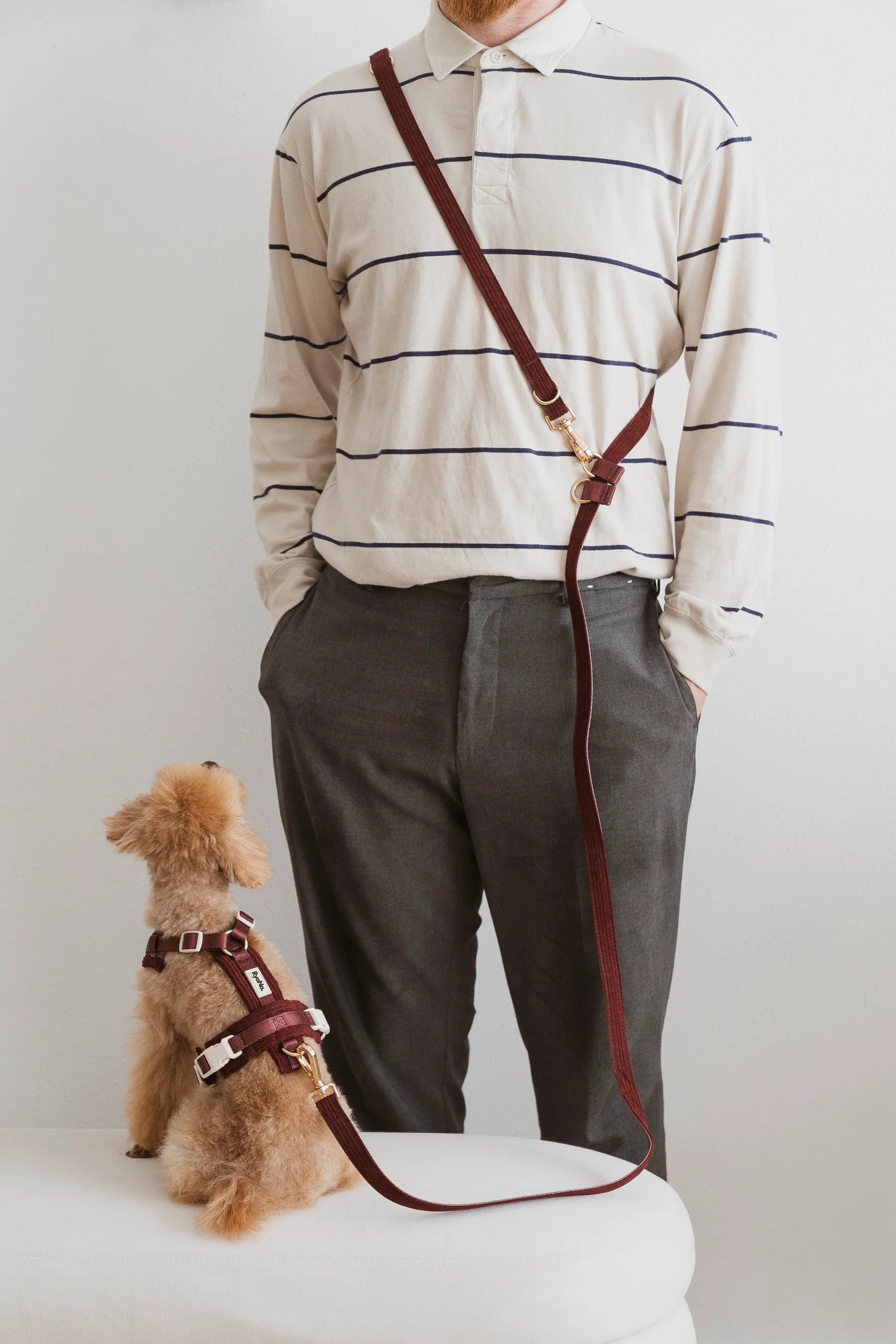 Laisse mains libres velours côtelée BORDEAUX