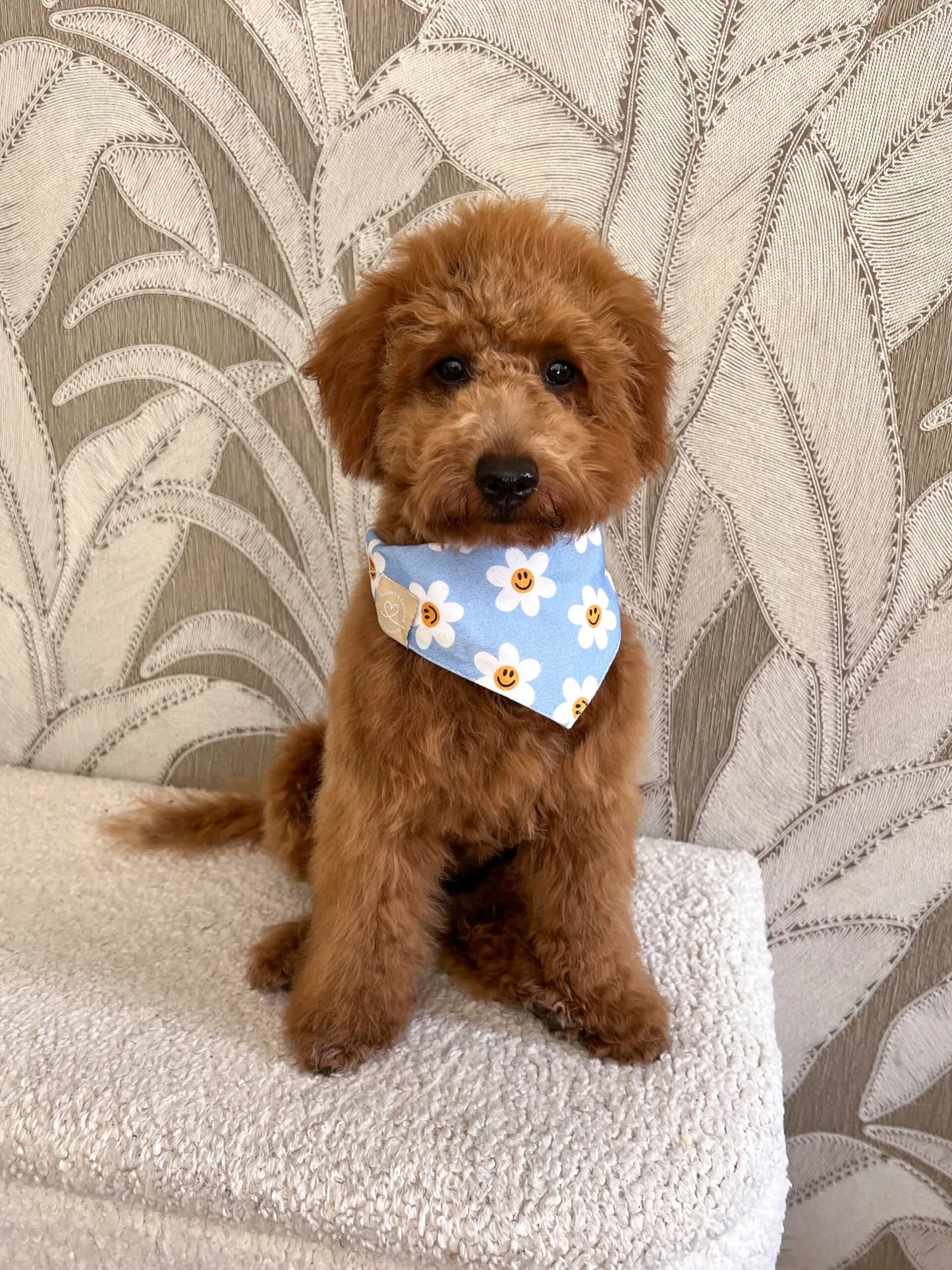 Bandana réversible DAISY