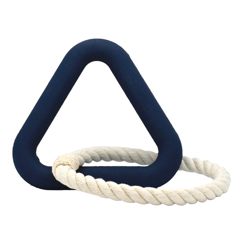 Jouet triangle BLEU