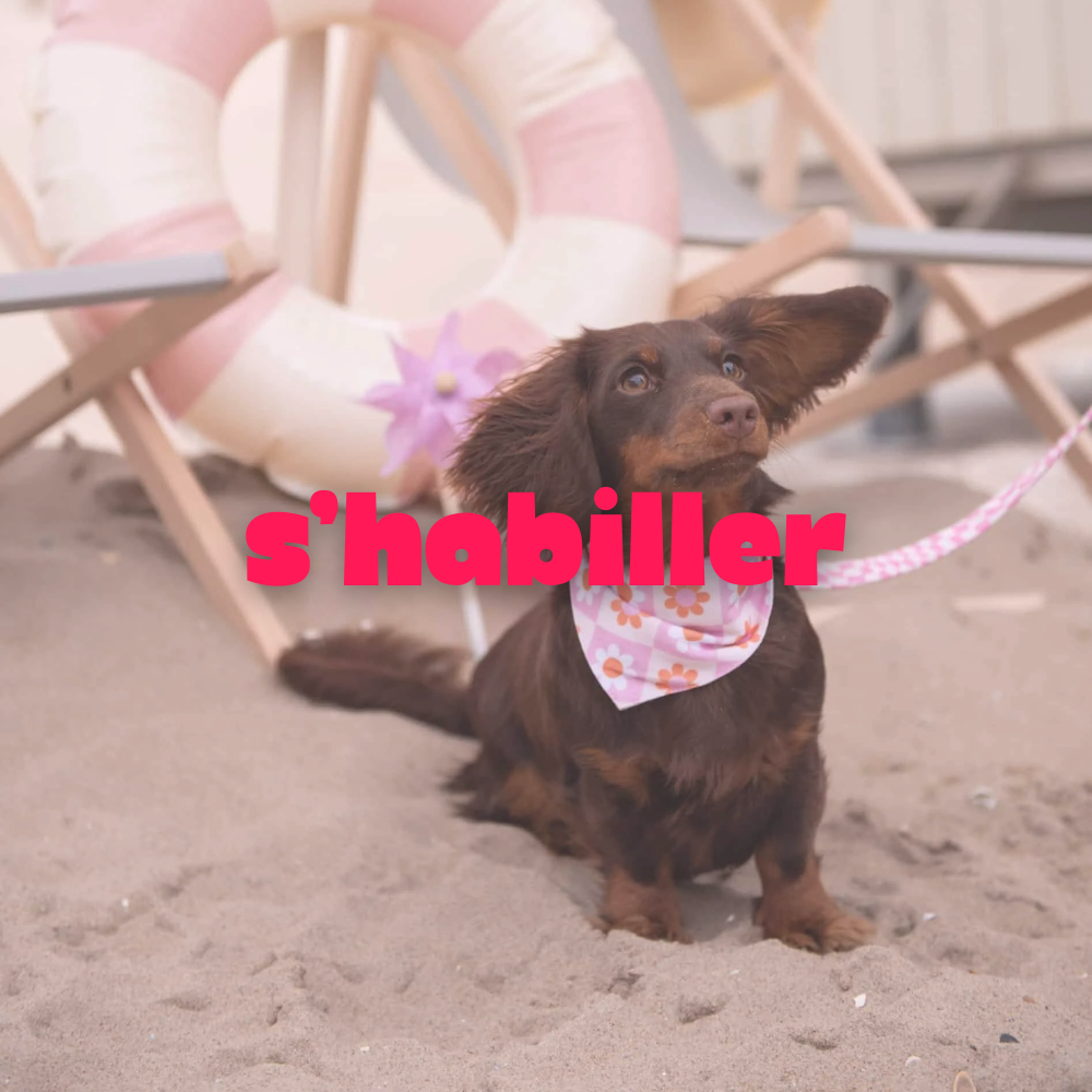 S'habiller