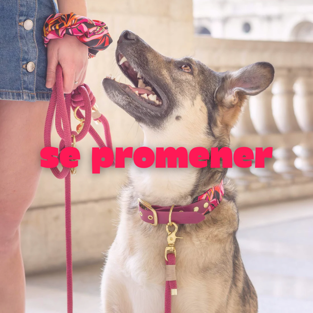 Se promener