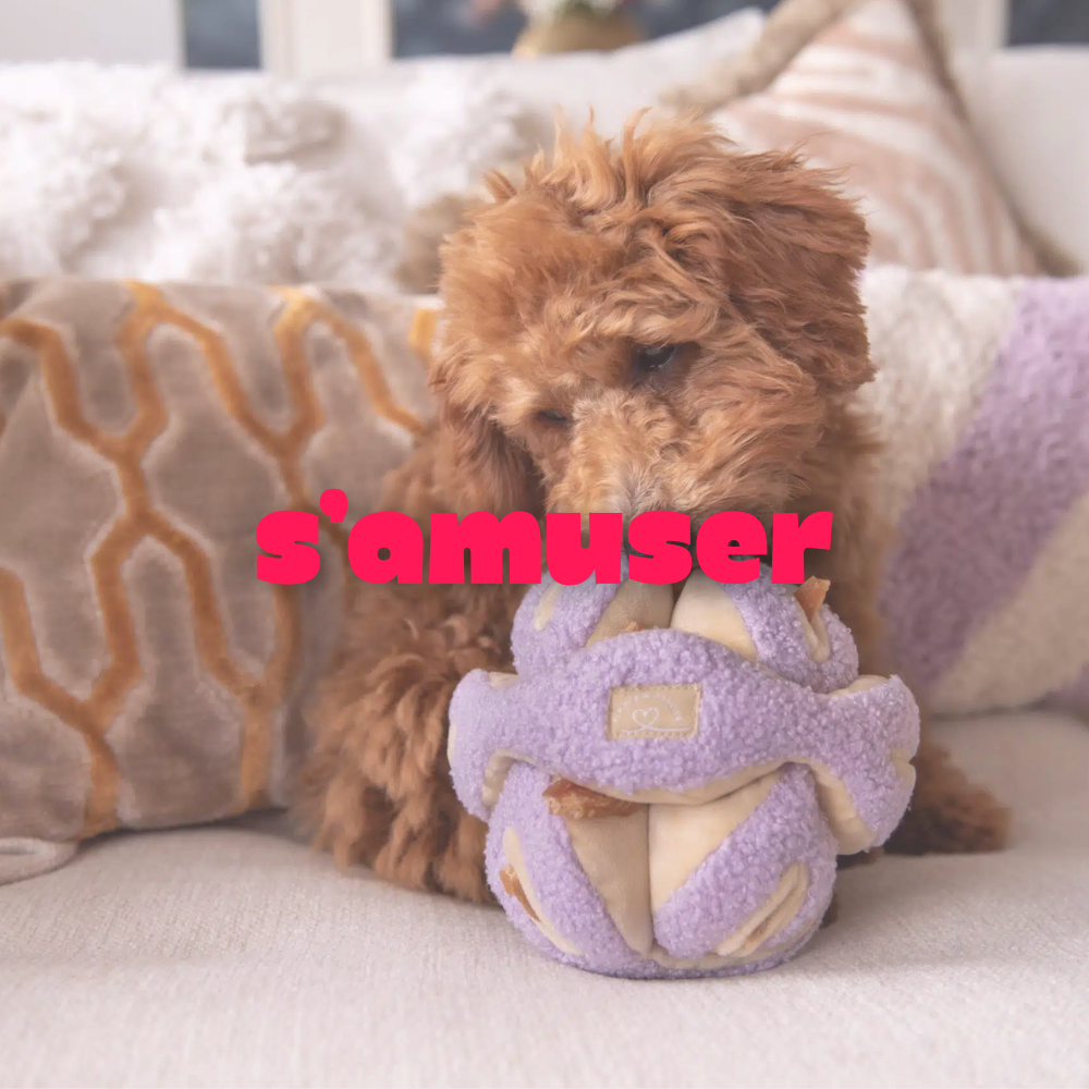S'amuser