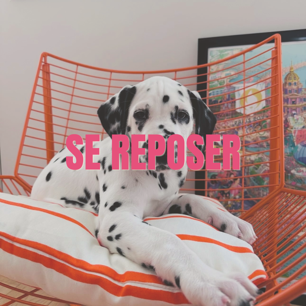 Se reposer