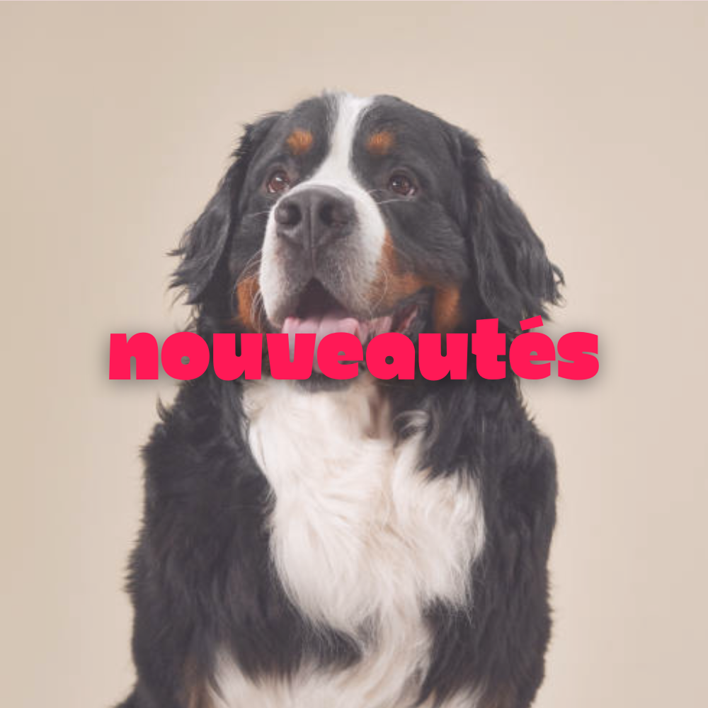 Nouveautés