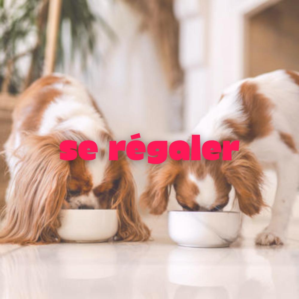 Se régaler
