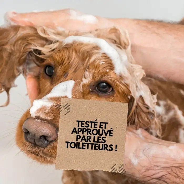 Shampoing chiot