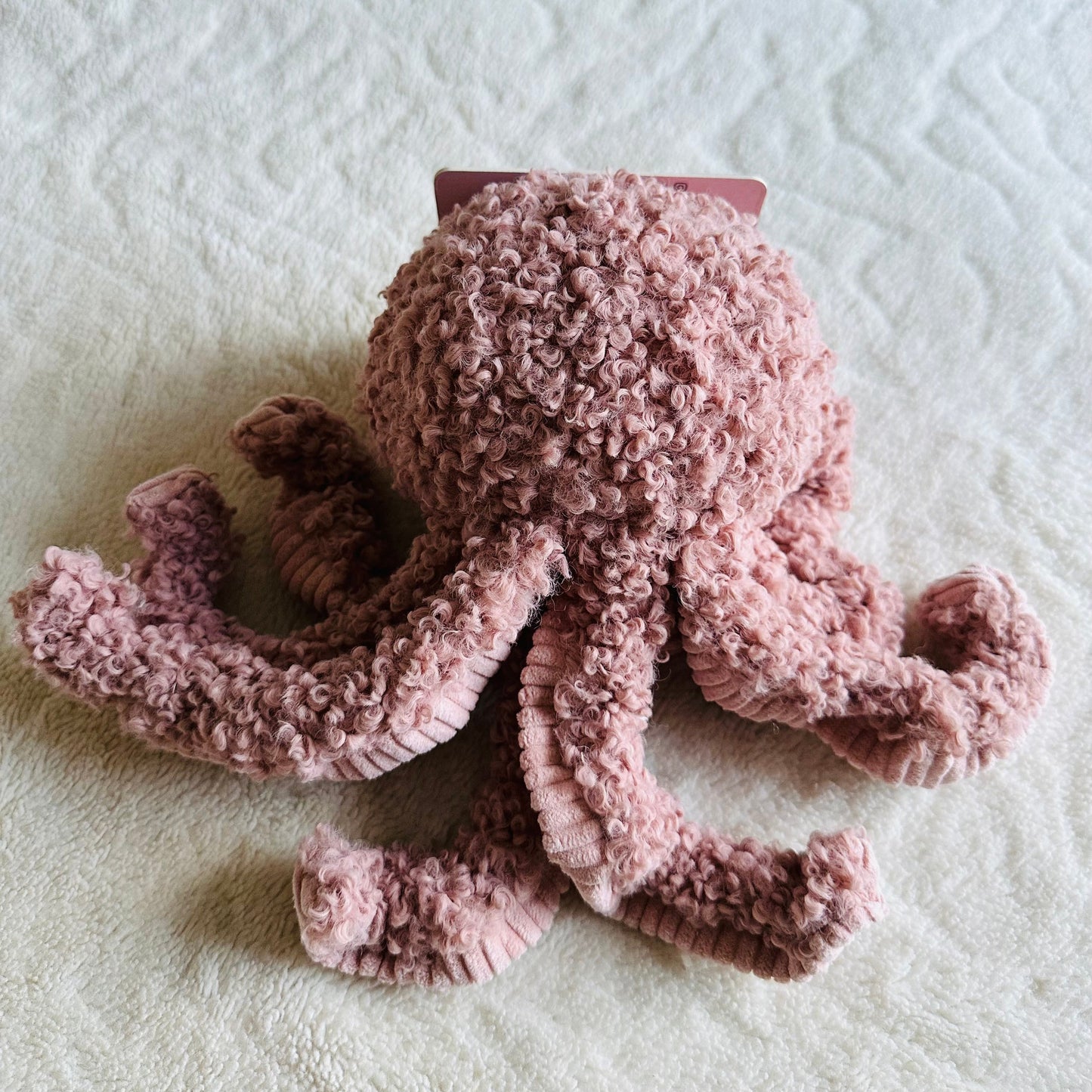 Peluche Squid ROSE