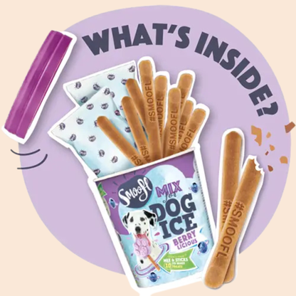 Glace pour chien MYRTILLE