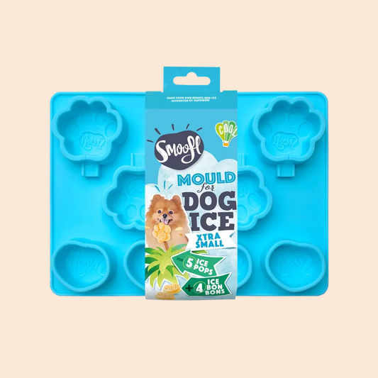 Moule pour glace maison BLEU