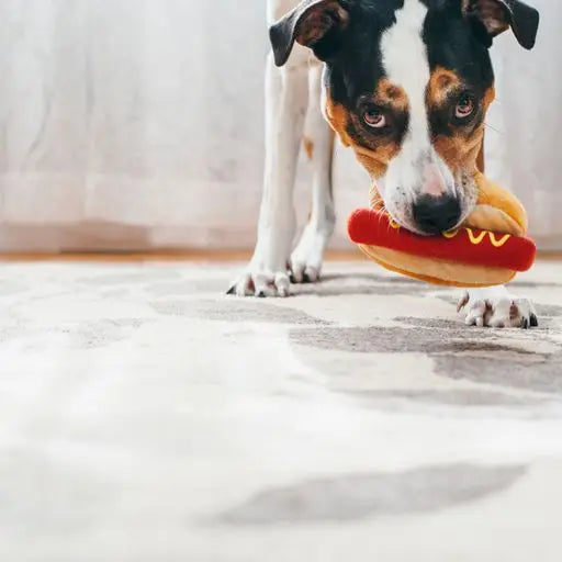 Peluche Hot-Dog