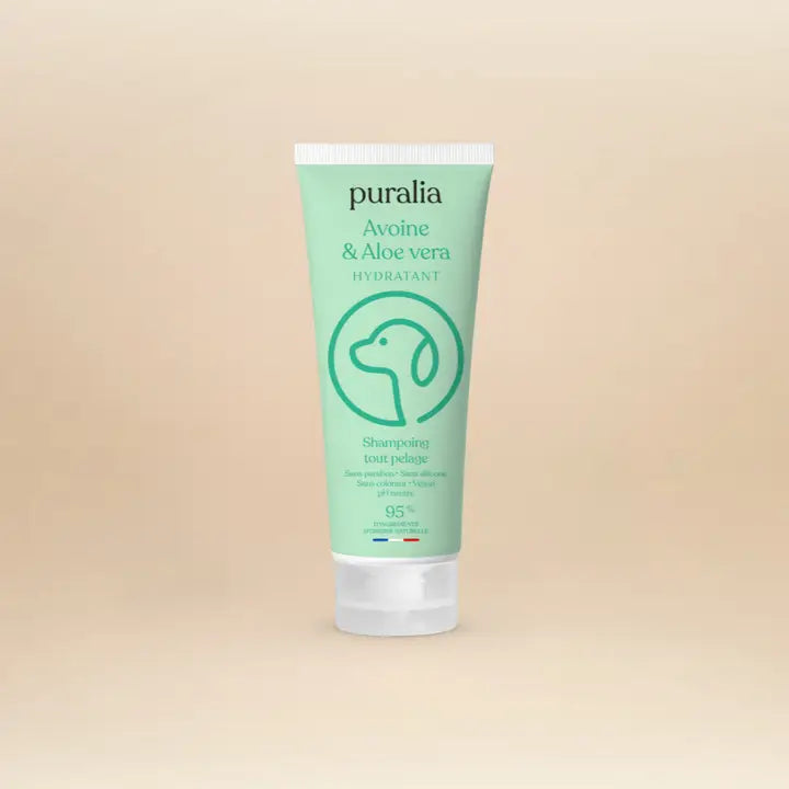 Shampoing tout pelage