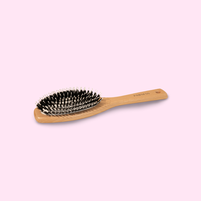 Brosse poils courts BOIS/NYLON