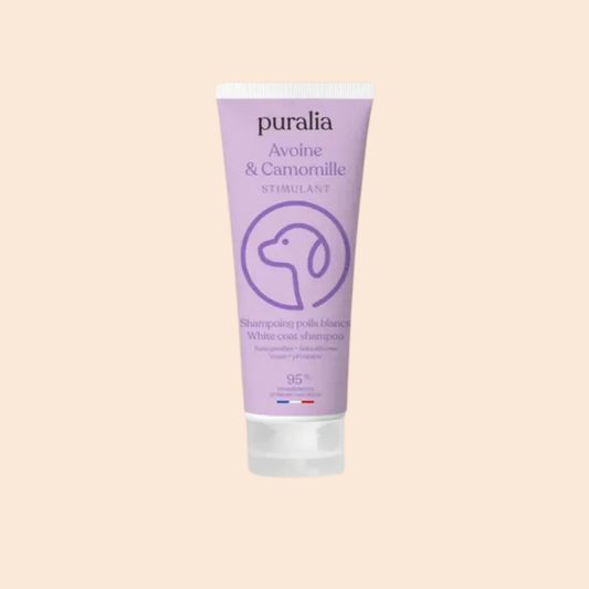 Shampoing poils blancs