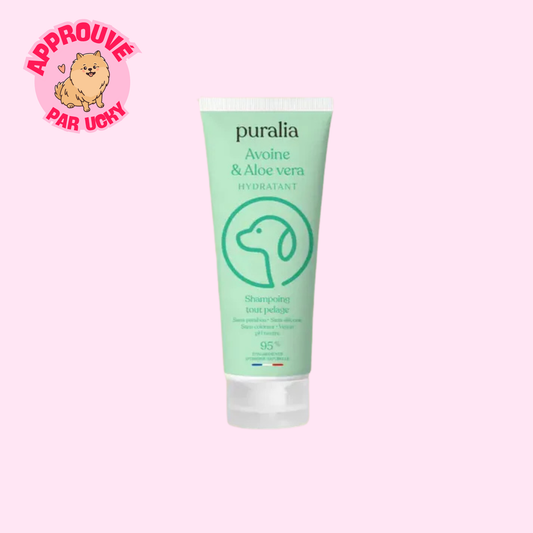 Shampoing tout pelage