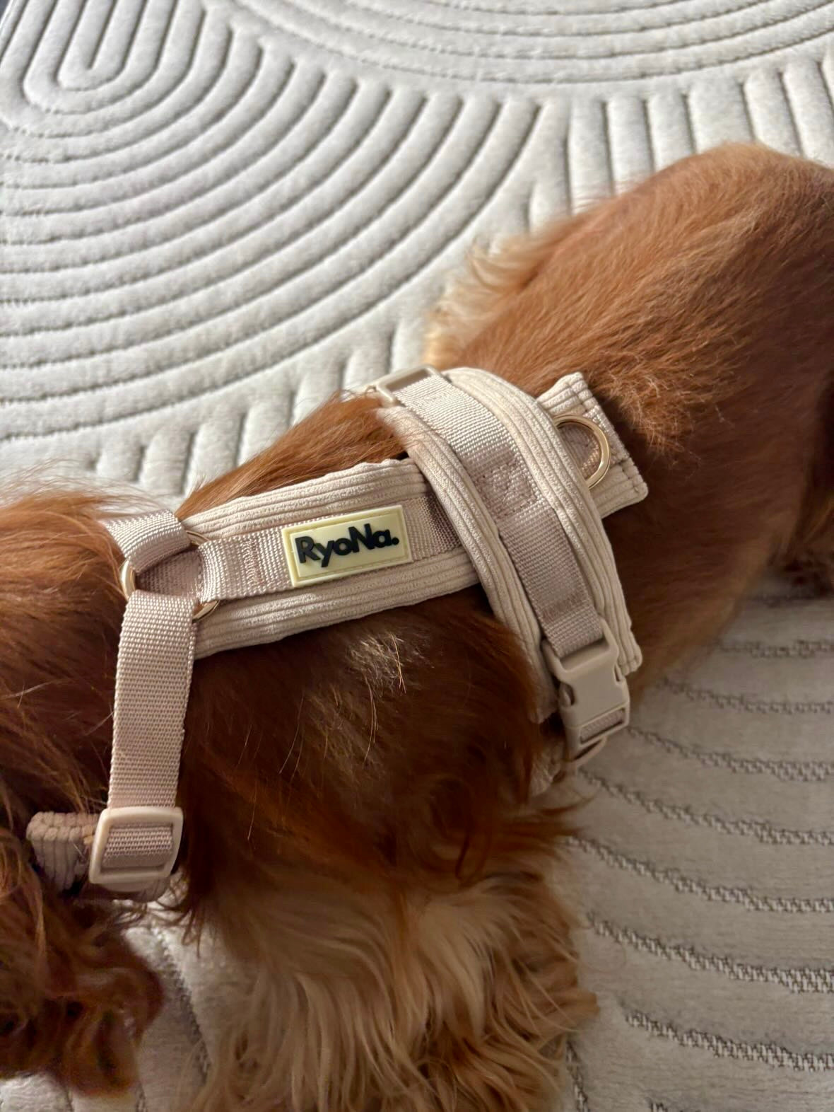 Harnais velours côtelé BEIGE