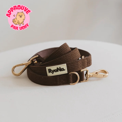 Laisse mains libres velours côtelée MARRON