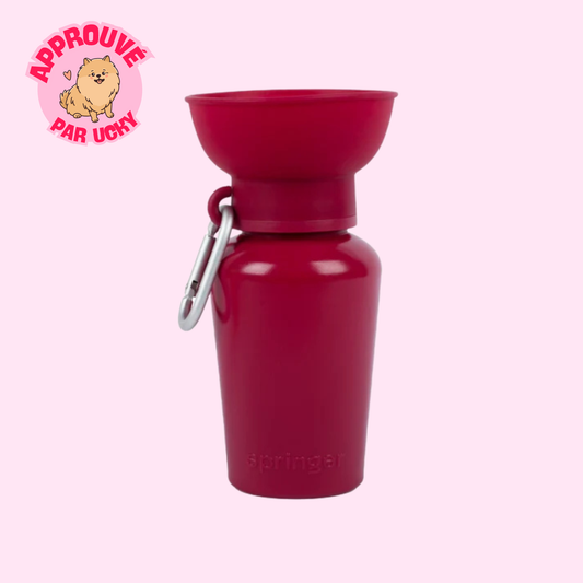 Gourde d'eau de voyage Springer Flip