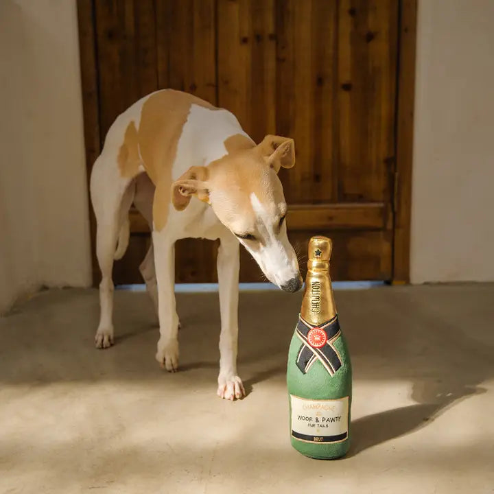 Peluche Bouteille de champagne VERT