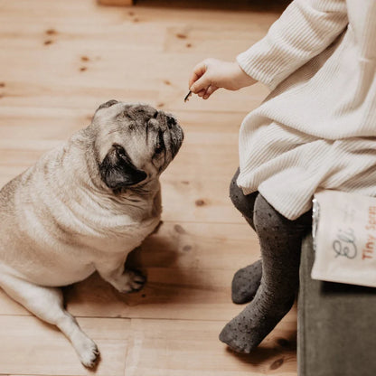 Sprats séchés de la Baltique