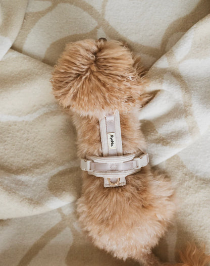 Harnais velours côtelé BEIGE