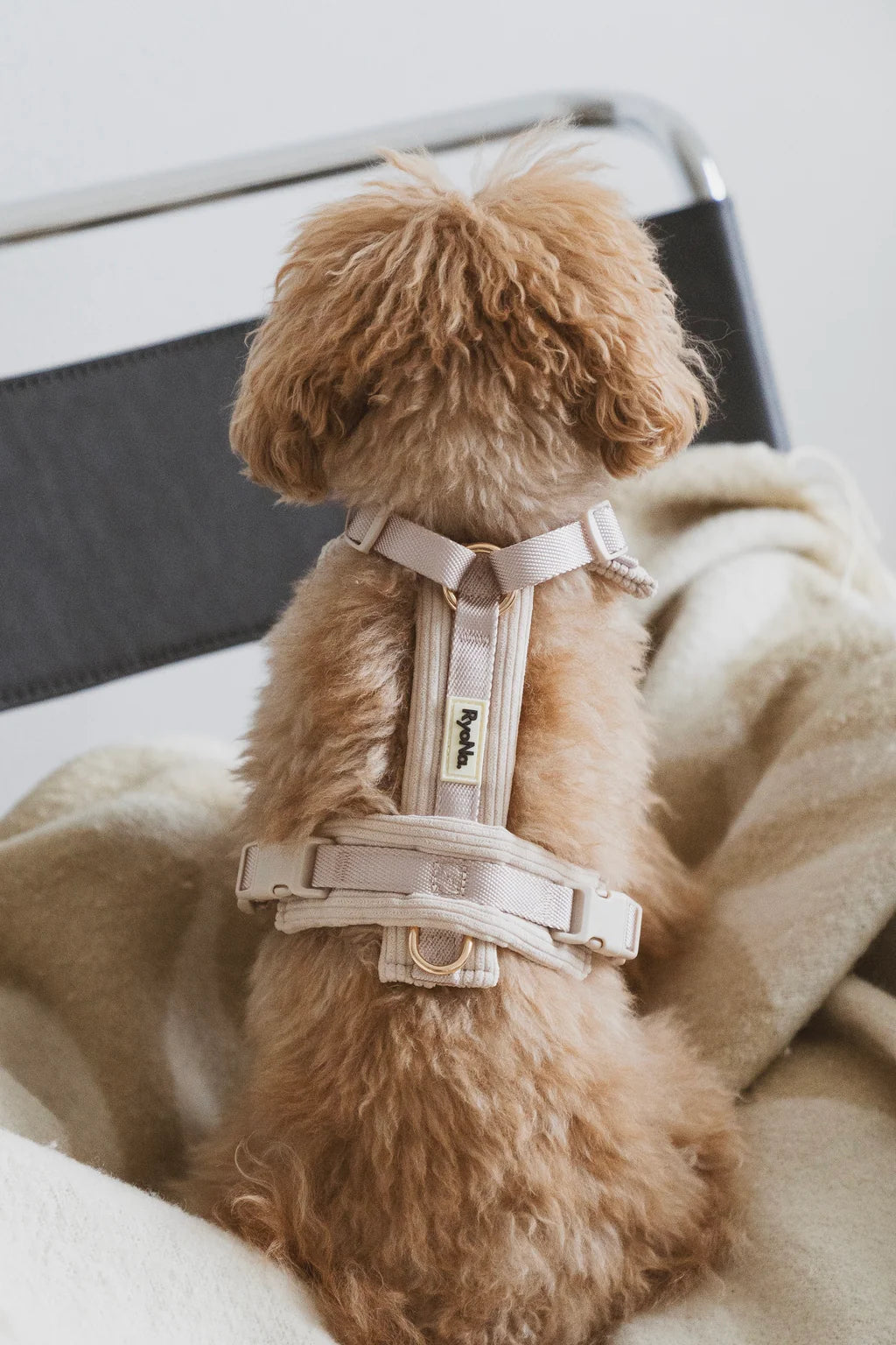 Harnais velours côtelé BEIGE