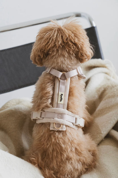 Harnais velours côtelé BEIGE