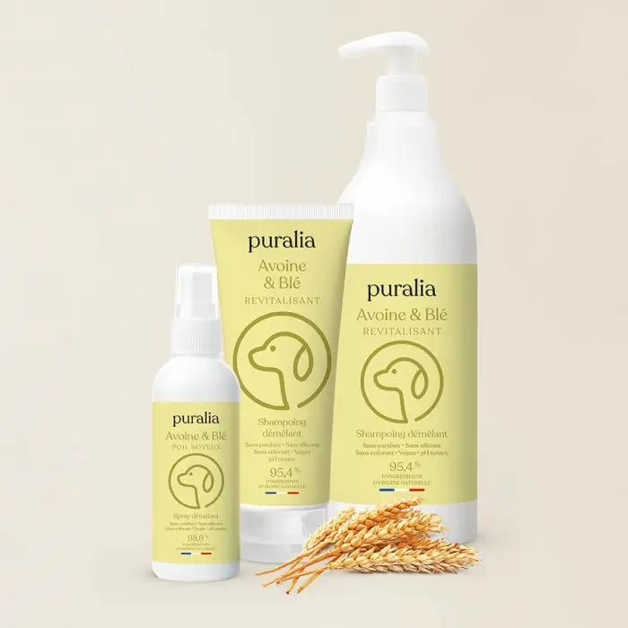 Shampoing démêlant