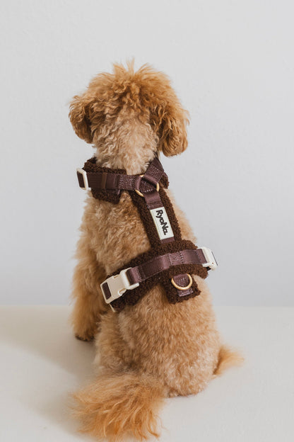 Harnais bouclé MARRON