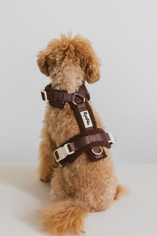 Harnais bouclé MARRON