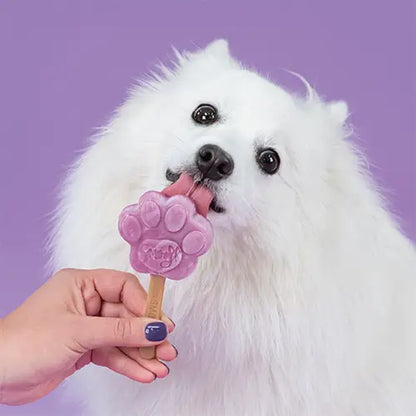 Glace pour chien MYRTILLE