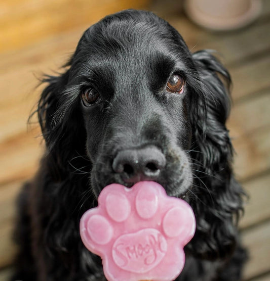 Glace pour chien FRAISE