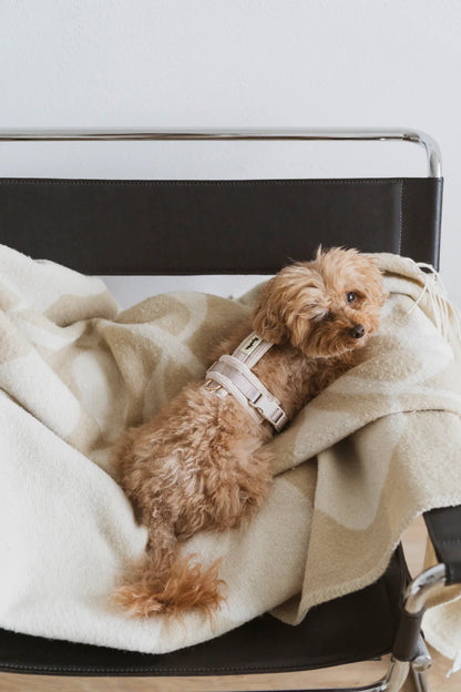 Harnais velours côtelé BEIGE