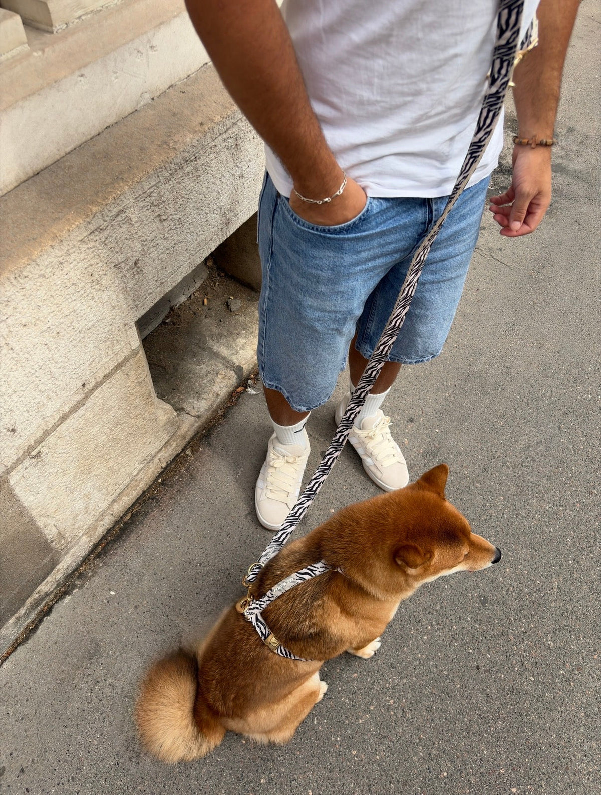 Laisse multi-positions ZÈBRE