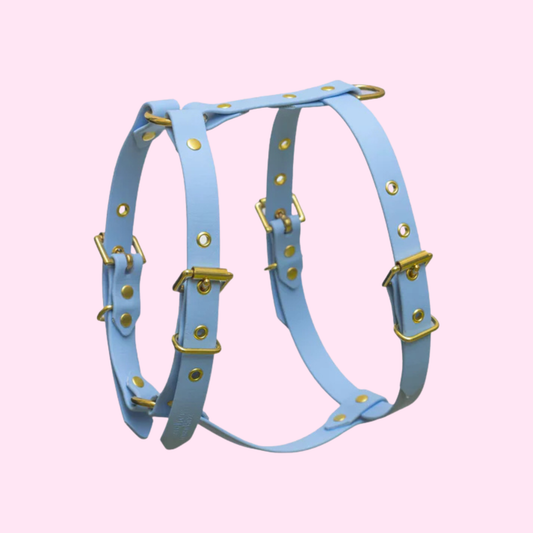 Harnais en biothane® BLEU POLAIRE