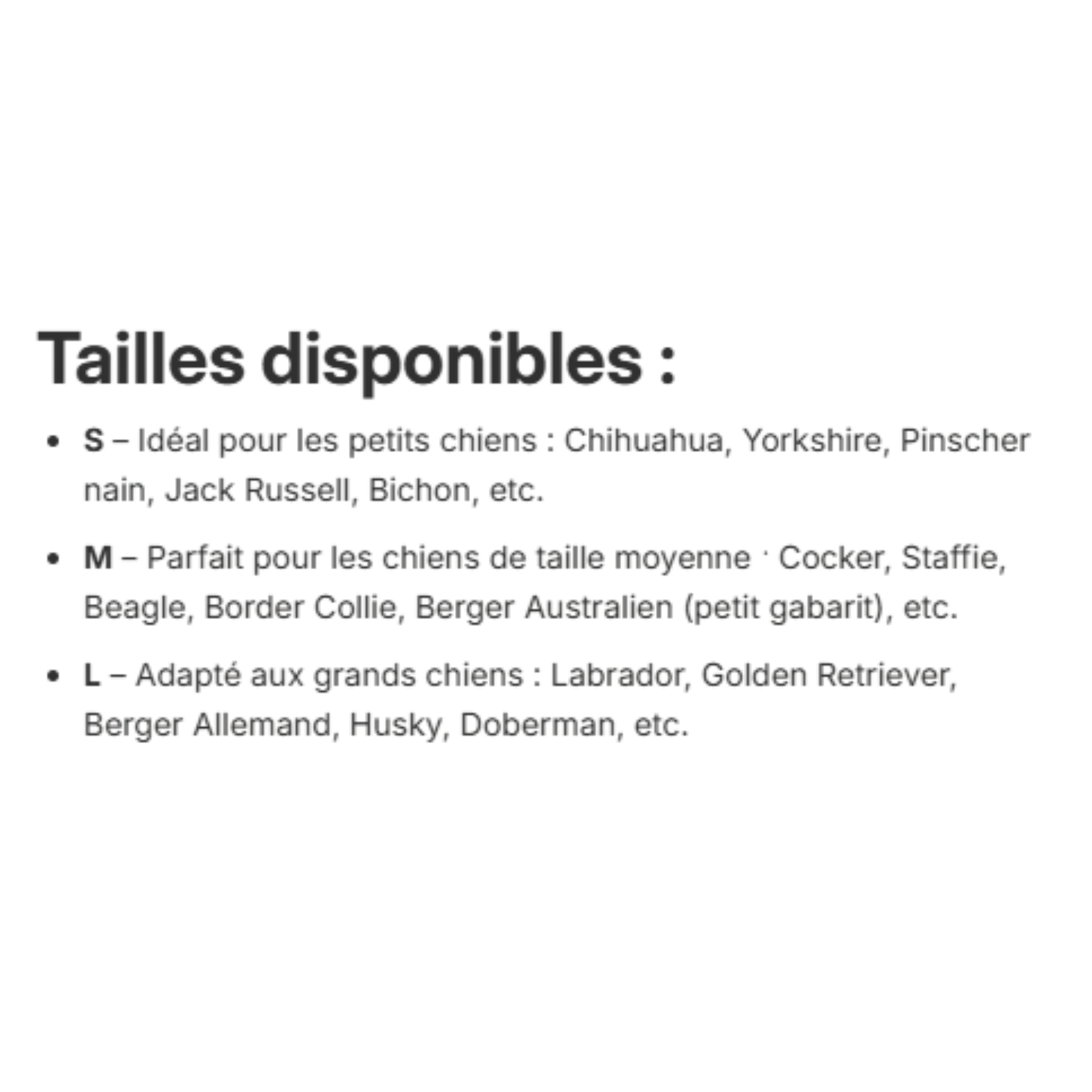 Bandana à enfiler WILD