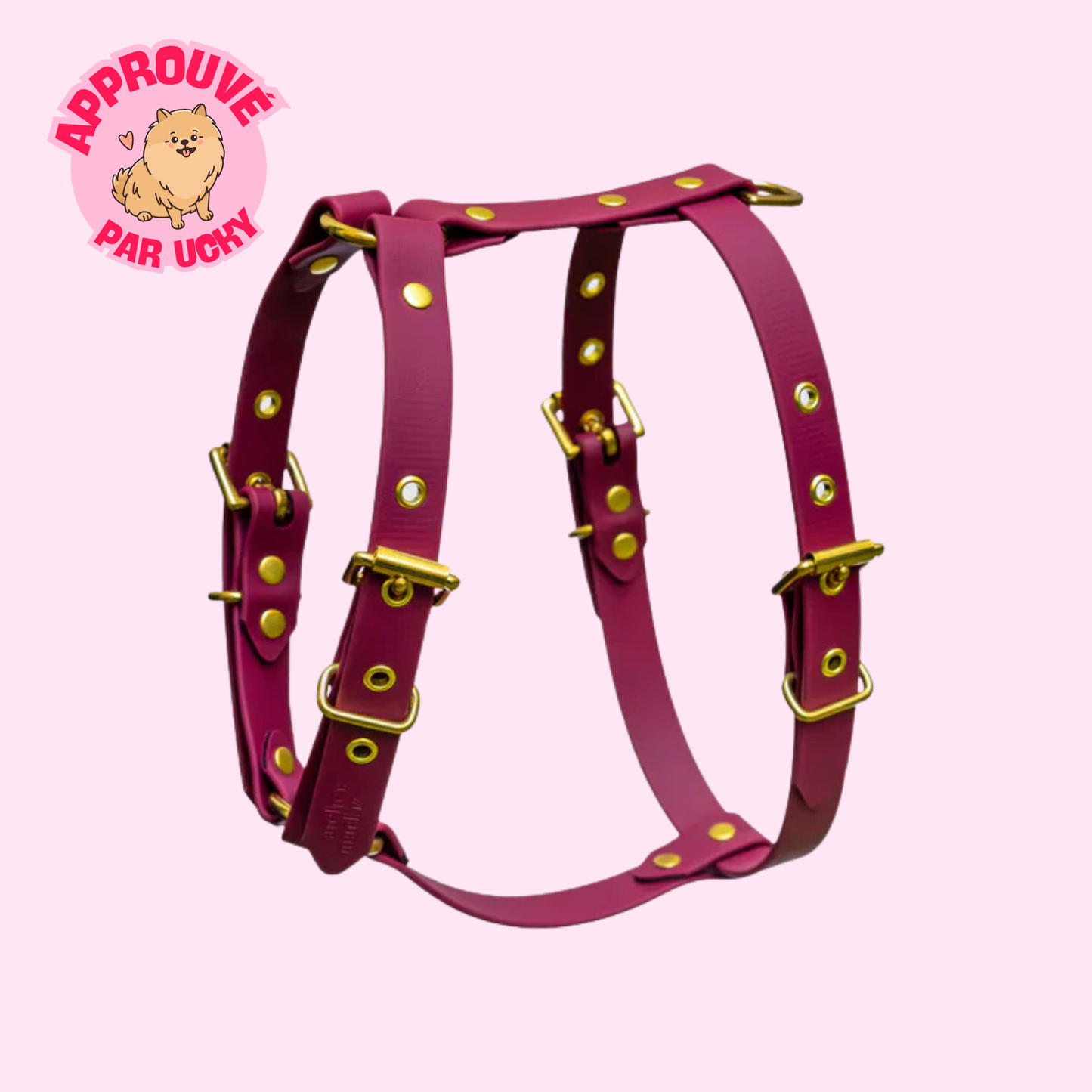 Harnais en biothane® SANGRIA