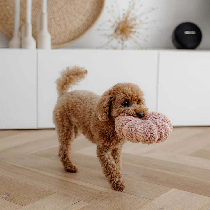 Peluche de fouille Daisy ROSE