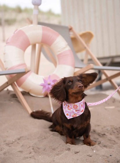 Bandana réversible BLOOMY