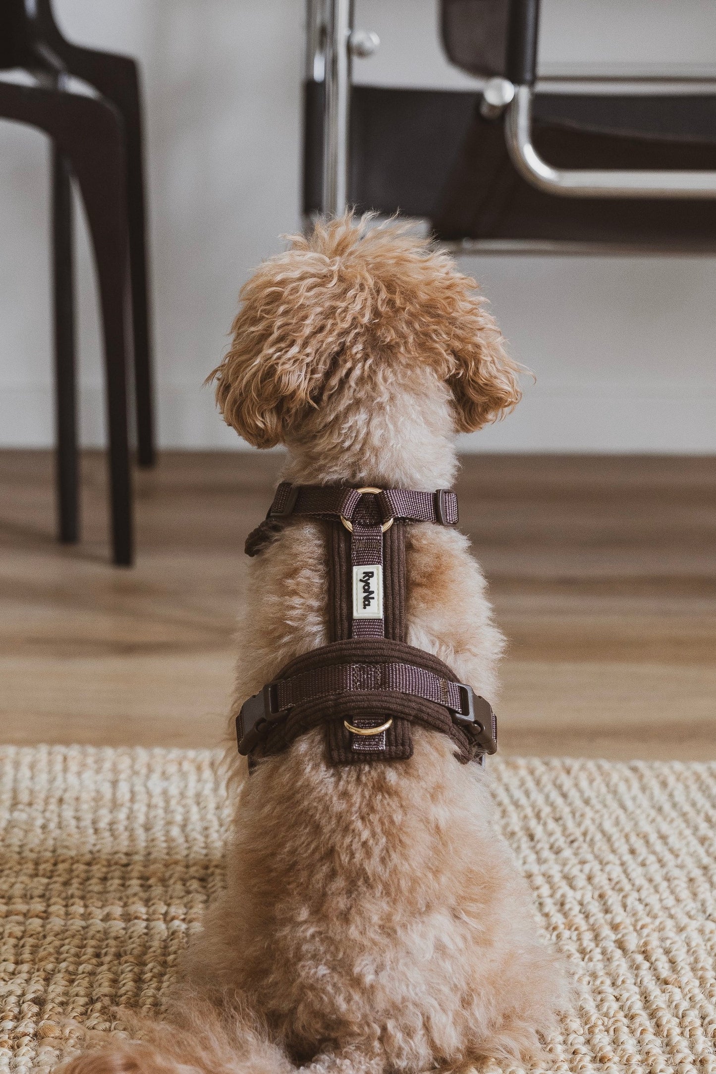 Harnais velours côtelé MARRON