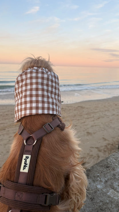 Harnais velours côtelé MARRON