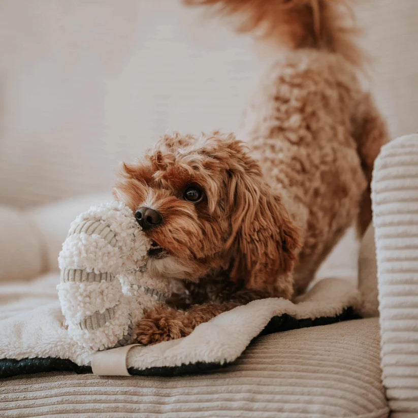 Peluche de fouille Daisy BEIGE
