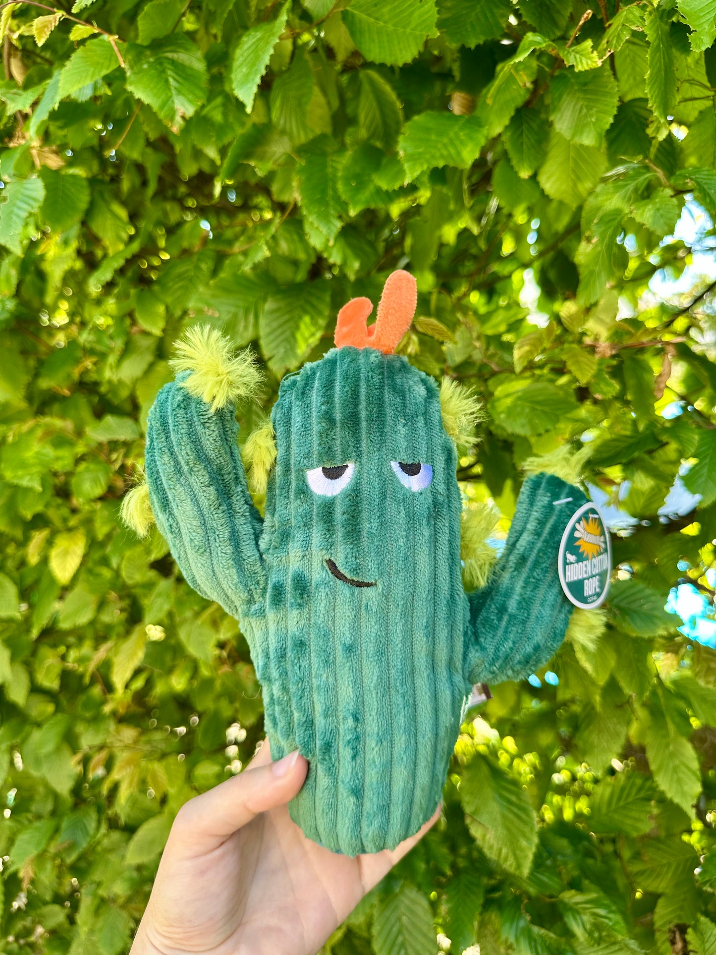 Peluche Cactus épineux