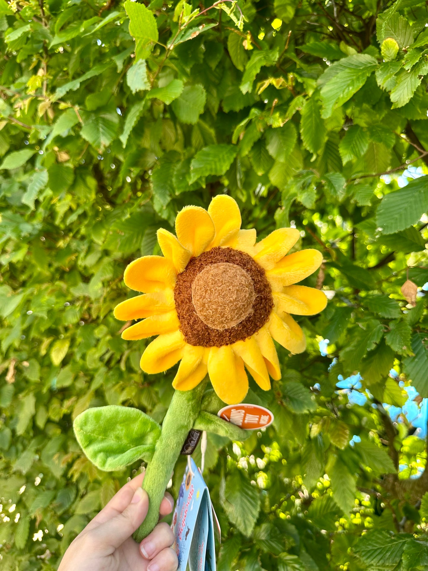 Peluche Tournesol épicé