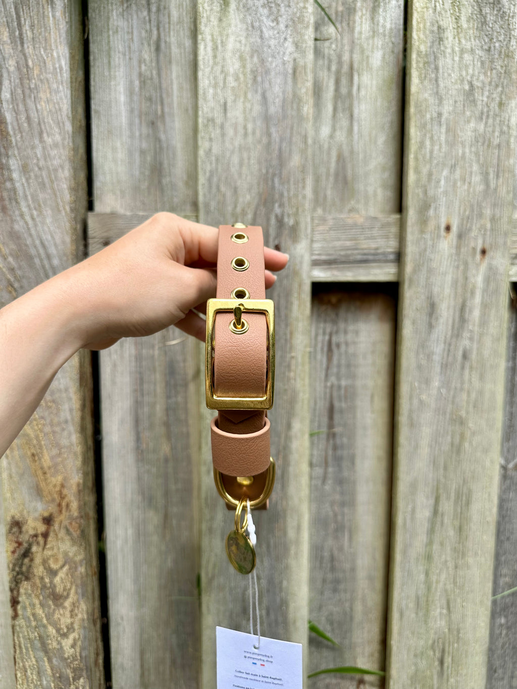 Collier waterproof BROWNIE
