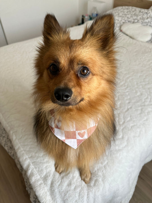 Bandana réversible DAISY